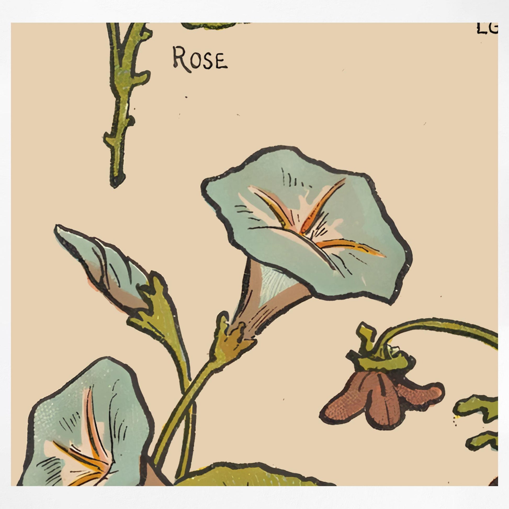 Vintage Floral Art - French - Nouveau Print - Bohemian Print Large Artwork - Beige