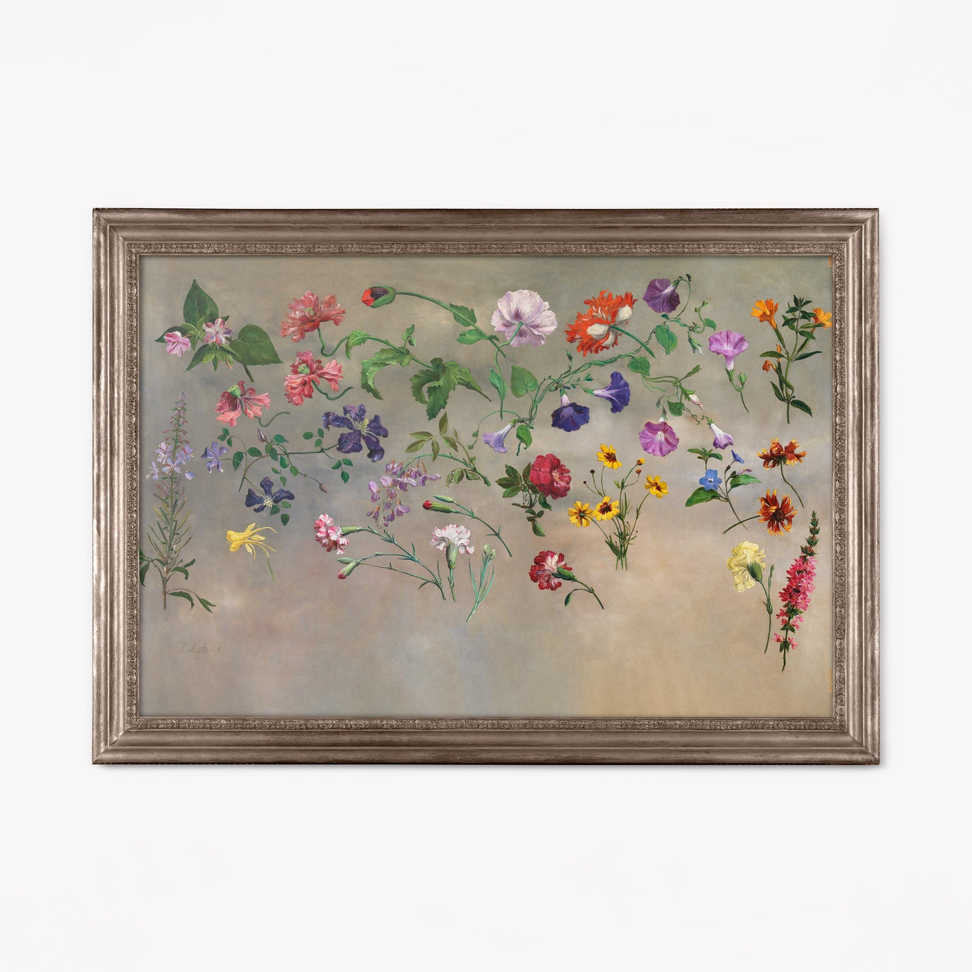 Vintage Floral Print - Studies of Flowers by Jacques–Laurent Agasse - Botanical Painting