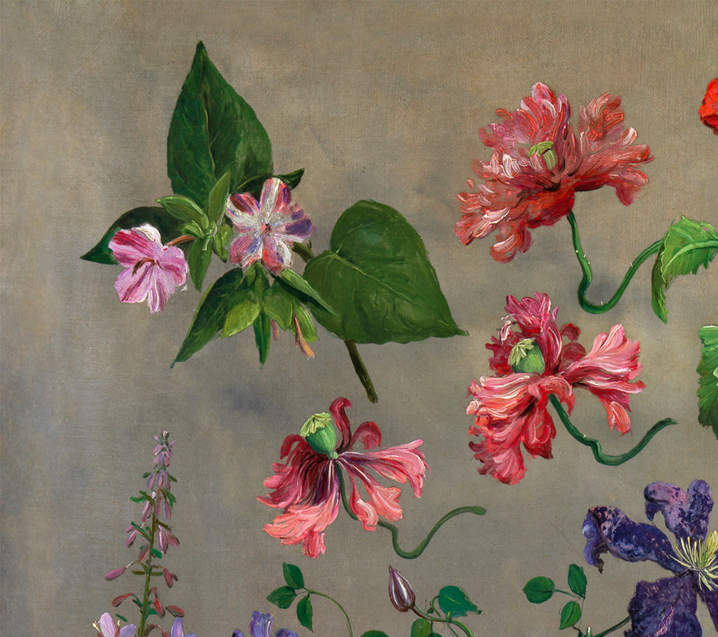 Vintage Floral Print - Studies of Flowers by Jacques–Laurent Agasse - Botanical Painting