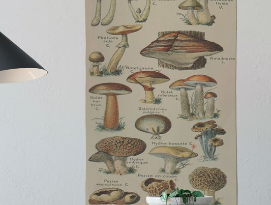 Vintage Mushrooms Long Wall Tapestry - Cotton - Skinny Tapestry - Adolphe Millot - Nouveau Larousse by DesignBohemian