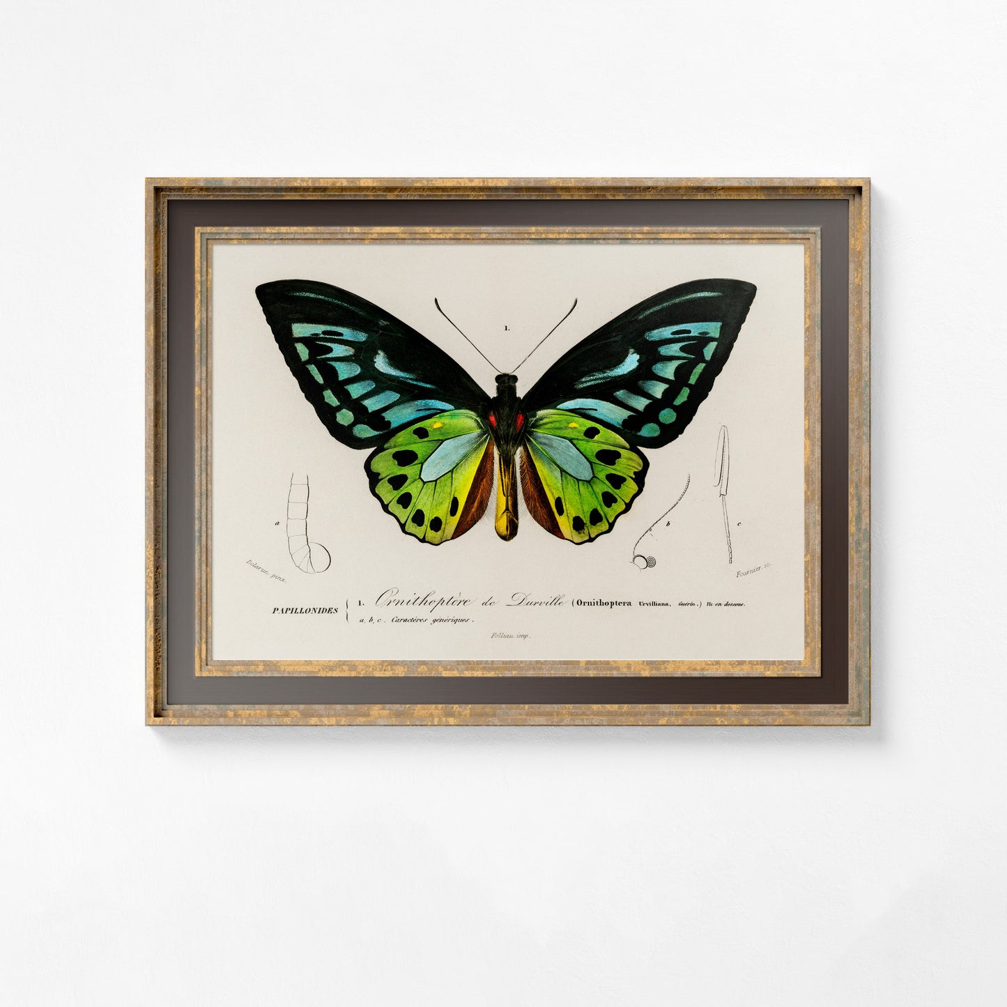 Art Deco Butterfly - Blue and Green Vintage Print - Butterfly Poster Print - Bohemian Print Large Artwork