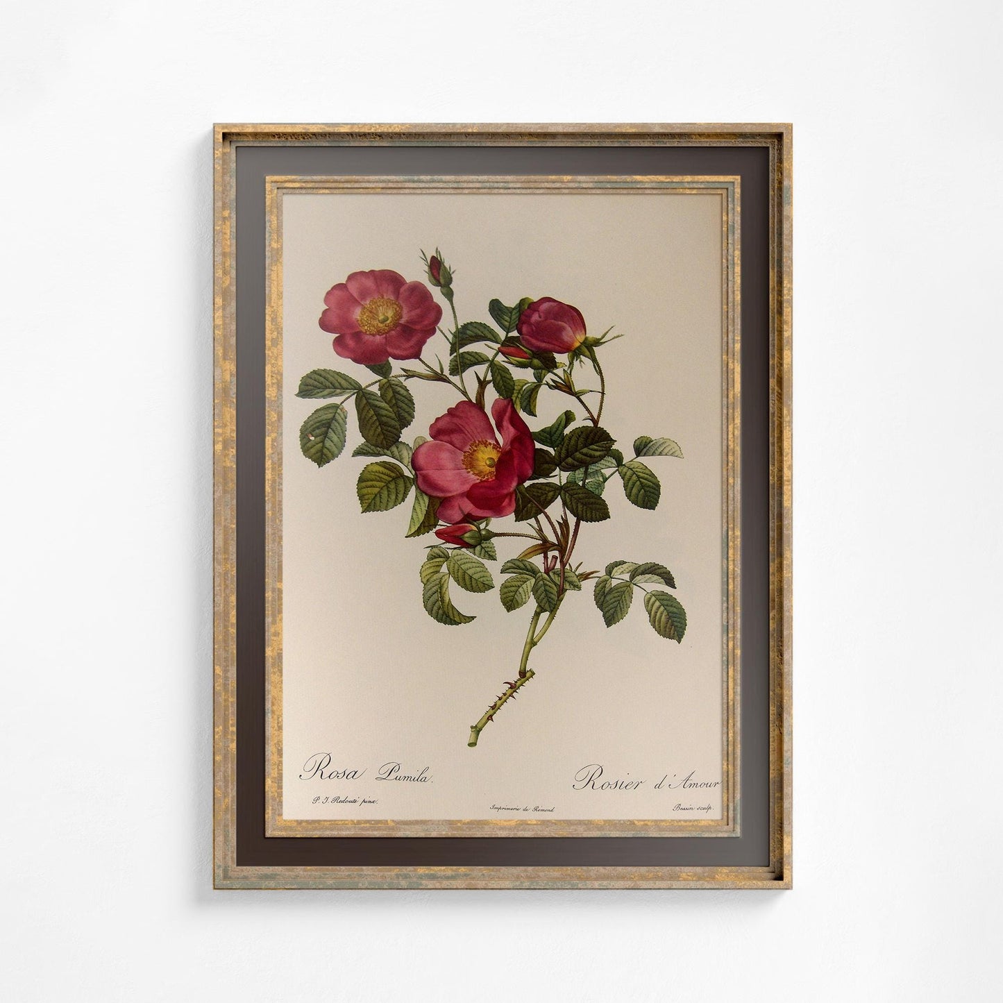 Vintage Red Roses Floral Print: Beige and Red Botanical Art
