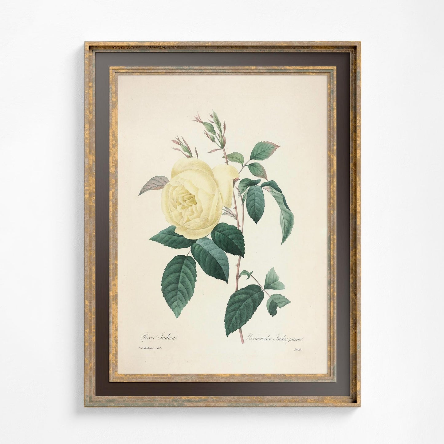 Vintage Yellow Roses Floral Print: Beige and Yellow Botanical Art