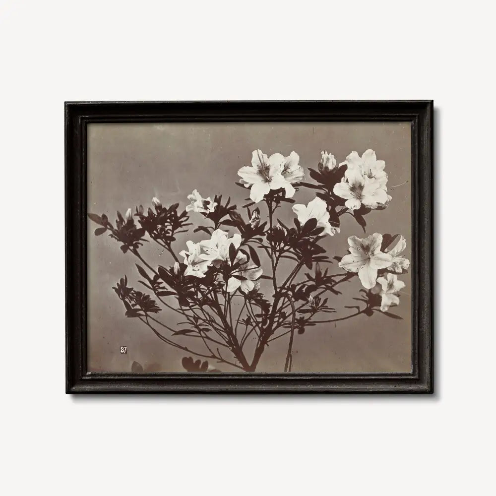 Moody Floral Vintage Print Albumen Print Large Beige Artwork By Charles Aubry Poster by DesignBohemian