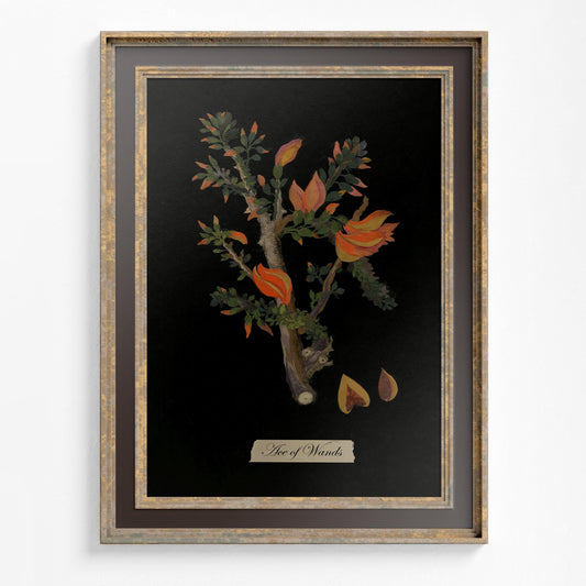 Ace of Wands Print - Ace of Wands Poster, No Frame