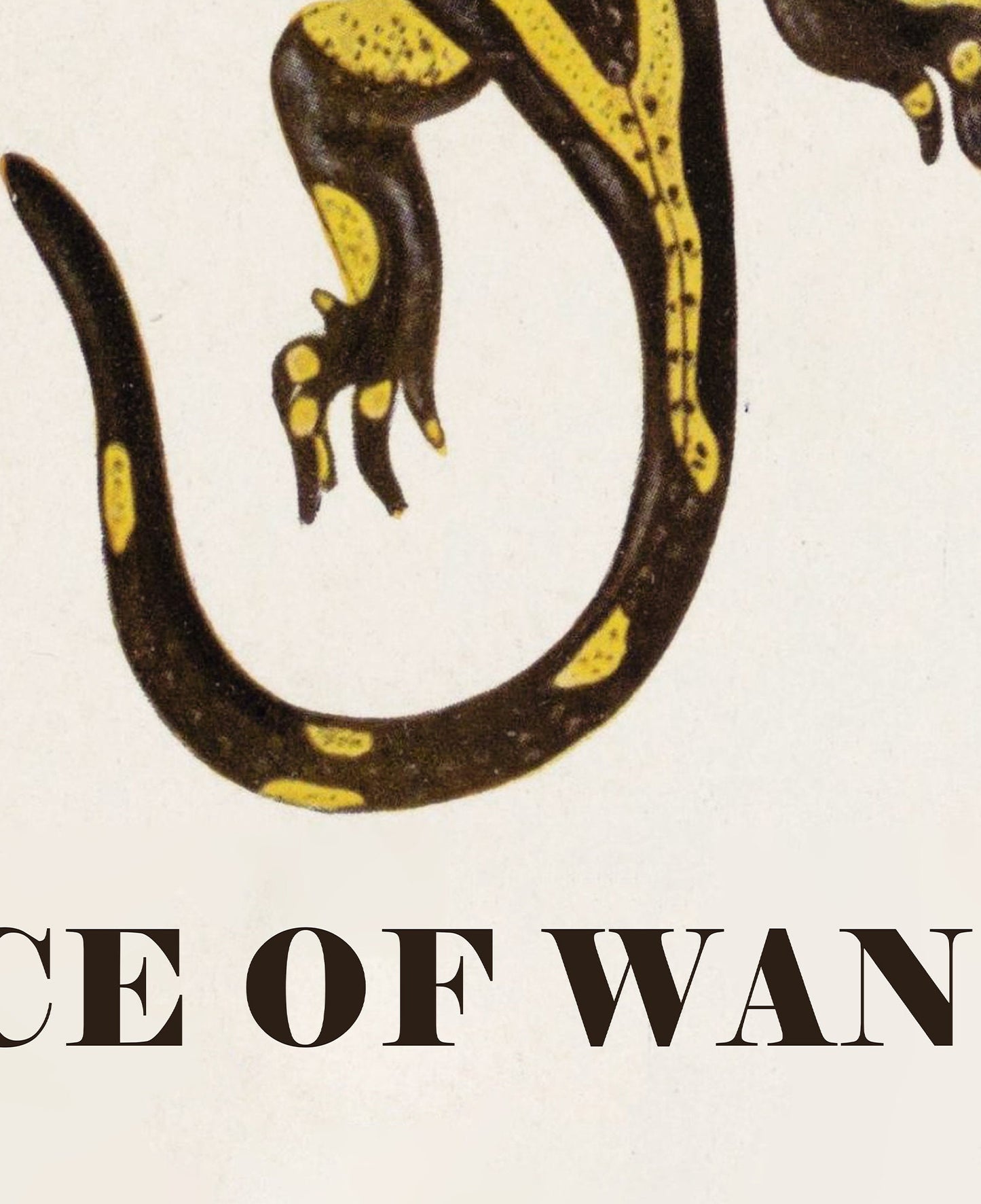Ace of Wands Salamander Card - Tarot Card Print - The Ace of Wands Card Poster, No Frame