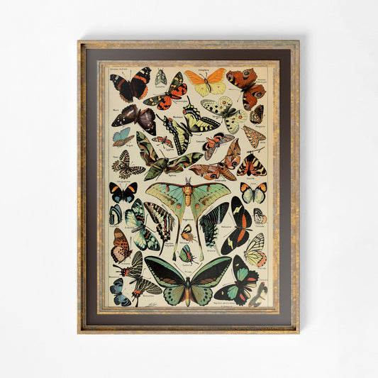 Art Nouveau Butterfly Poster Floral Print Bohemian Print Large Artwork - Alphonse Millot