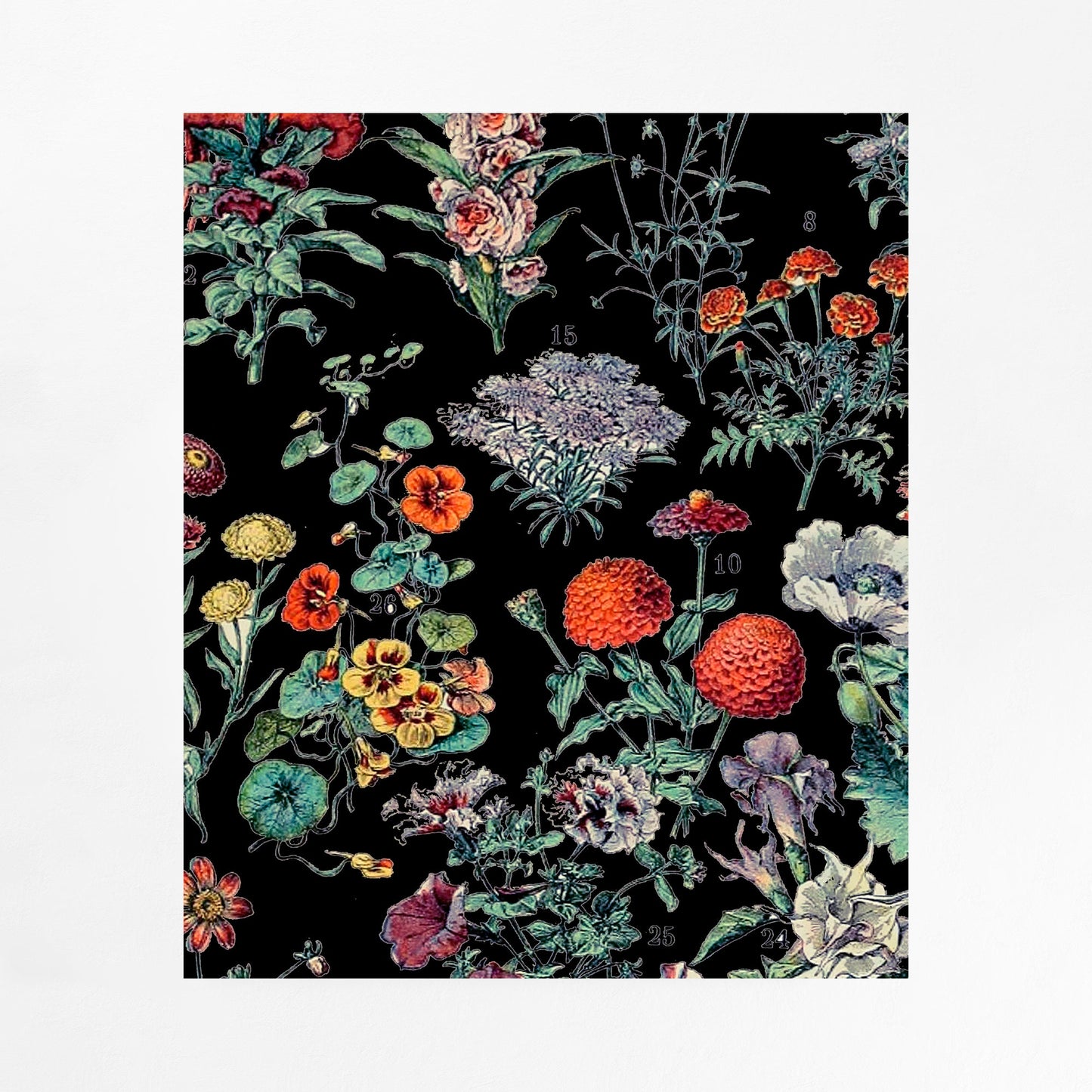 Art Nouveau Poster - Black Floral Print Bohemian Print Large Artwork - Alphonse Millot