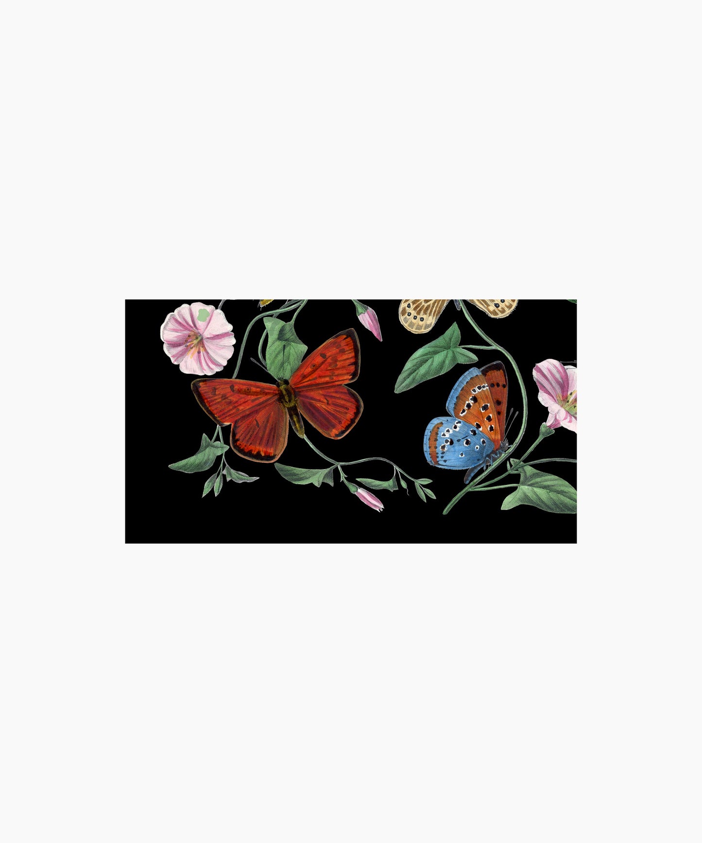 Black Butterflies Print - Vintage Print - Butterfly Poster Print - Bohemian Print Large Artwork