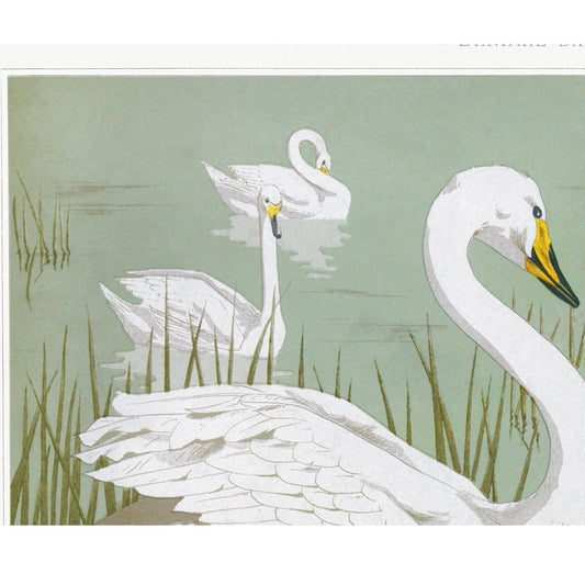 Moody Vintage Swans Print Nouveau Artwork In Light Green Wall Art For Elegant Living Room by My Store