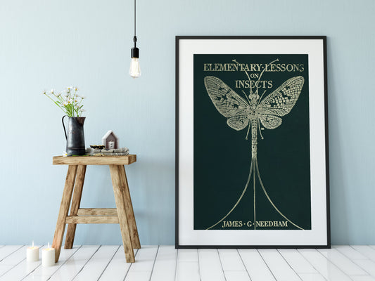 Vintage Book Print - Dragonfly - Art Nouveau Poster - Print Bohemian Print Large Artwork - Vintage Green