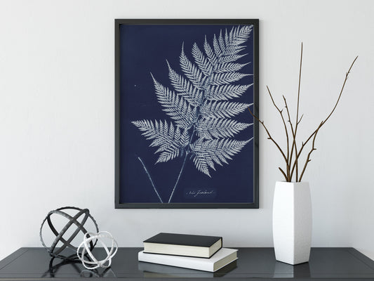 Vintage Fern Print Moody Bohemian Indigo Artwork Large Archival Matte Finish Premium by My Store