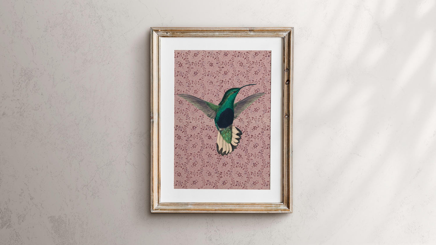 Vintage Hummingbird Print - Pink - Hummingbird Lover Art