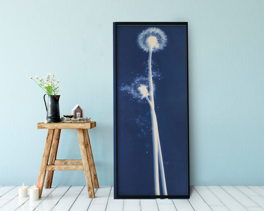 Dandelion Print Nature Cyanotype Long Poster Artwork Bohemian Vintage Premium Luster Paper USA by My Store