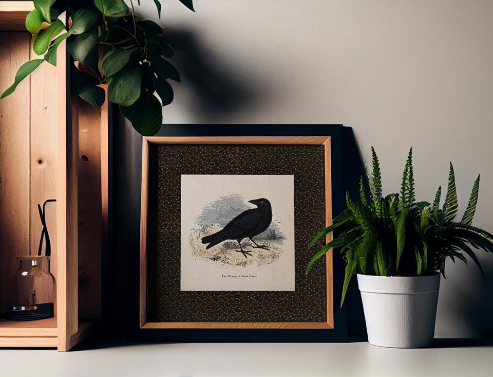 Vintage Crow Print - Square Crow Print - Beige and Black - The Raven