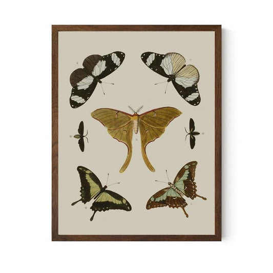 Bohemian Art Styles: Creating Your Dream Gallery Wall - DesignBohemian