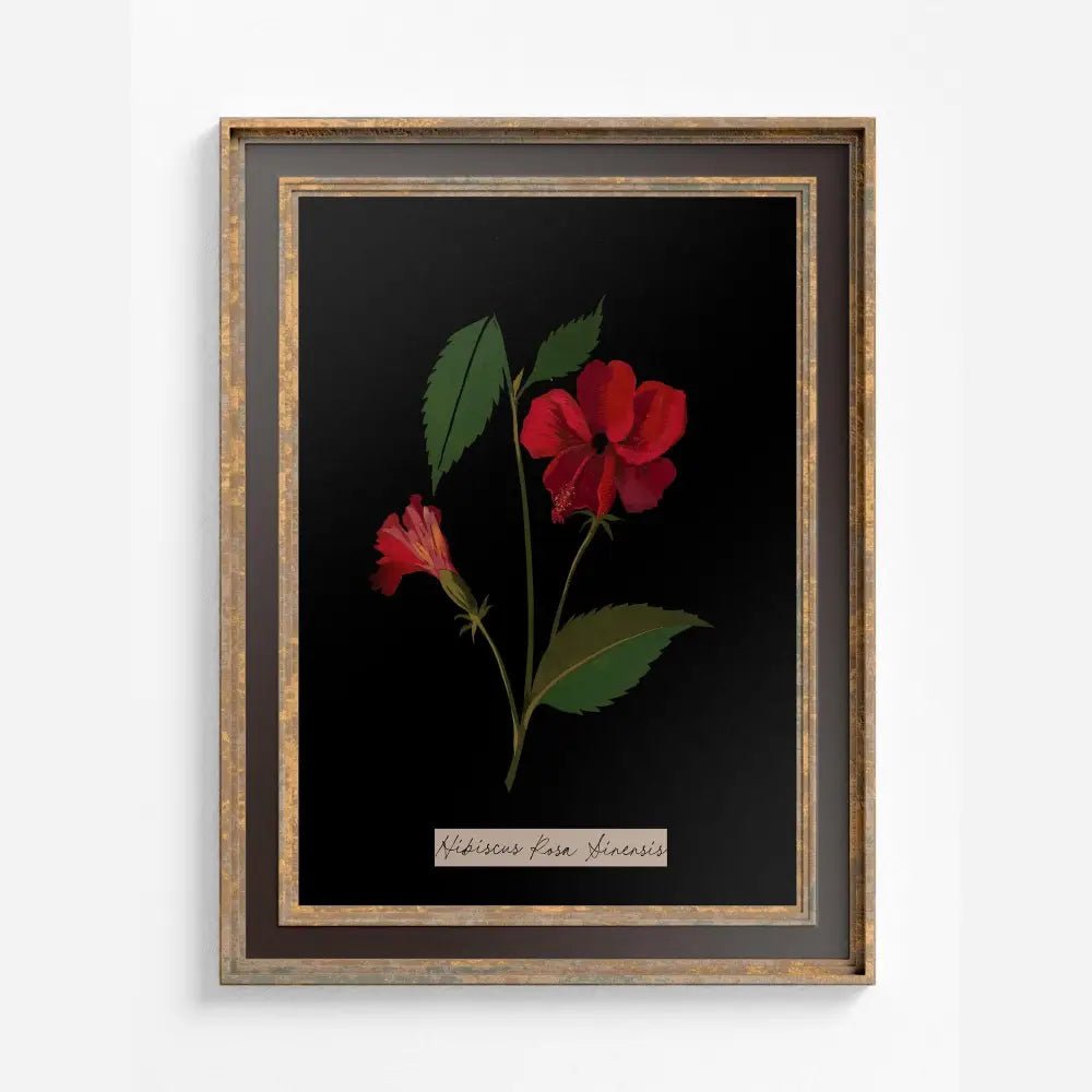 The Secret Language of Flowers: How Blooms Speak What Words Cannot