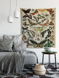 Alphonse Millot - Vintage Butterfly Tapestry Wall Hanging Butterfly Specimen Art Vintage by DesignBohemian