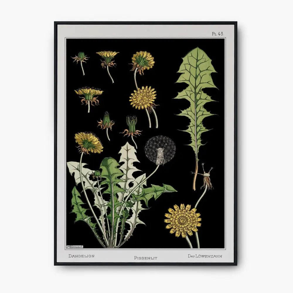 Beautiful Dandelion Art Print Vintage Art Nouveau by My Store