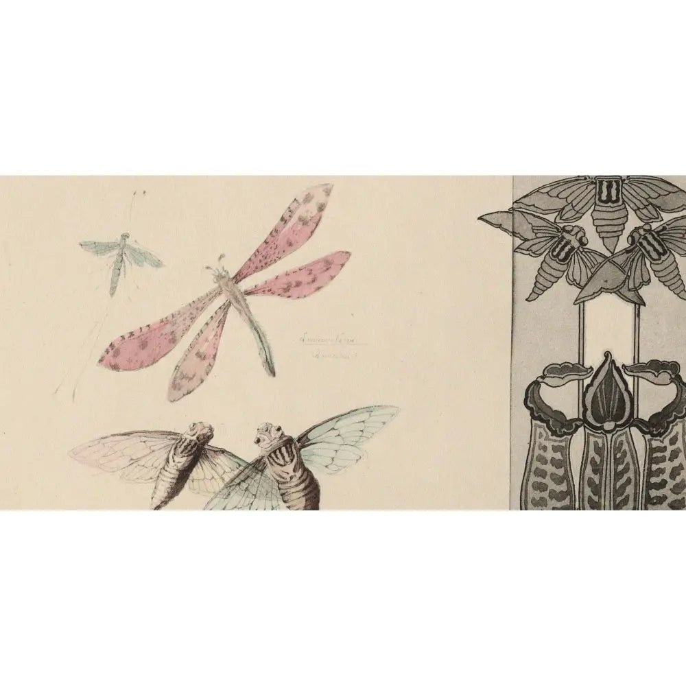 Beige Vintage Dragonflies Print Insect Poster Wall Art For Elegant Interiors With Timeless Charm by My Store