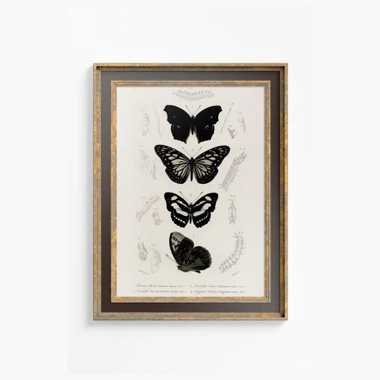 Black Butterflies Print By Charles Dessalines Vintage Bohemian Artwork Poster For Elegant Interiors by My Store