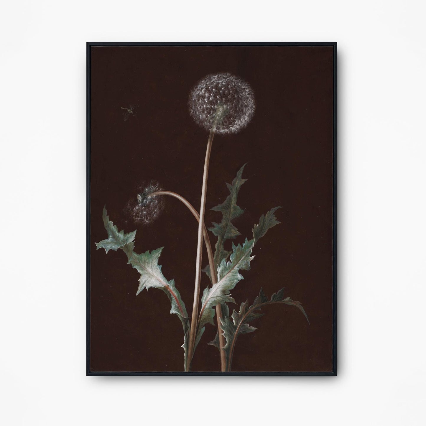 Dandelion Art - Vintage Print - Art Nouveau Poster Floral Print - Moody Print Large Artwork - Dandelions Vintage Brown