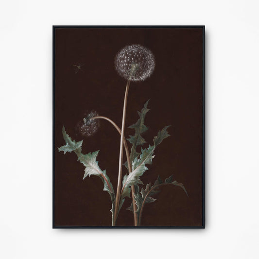 Dandelion Art - Vintage Print - Art Nouveau Poster Floral Print - Moody Print Large Artwork - Dandelions Vintage Brown