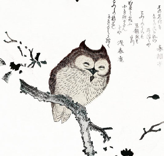 Cute Vintage Owl Print Kubota Shunman Square Japanese Print on Premium Archival Matte Paper 230GSM by DesignBohemian
