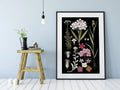 Floral Vintage Illustration Black Botanical Print Art On Premium Archival Smooth Matte Fine Art Paper 230gsm by My Store