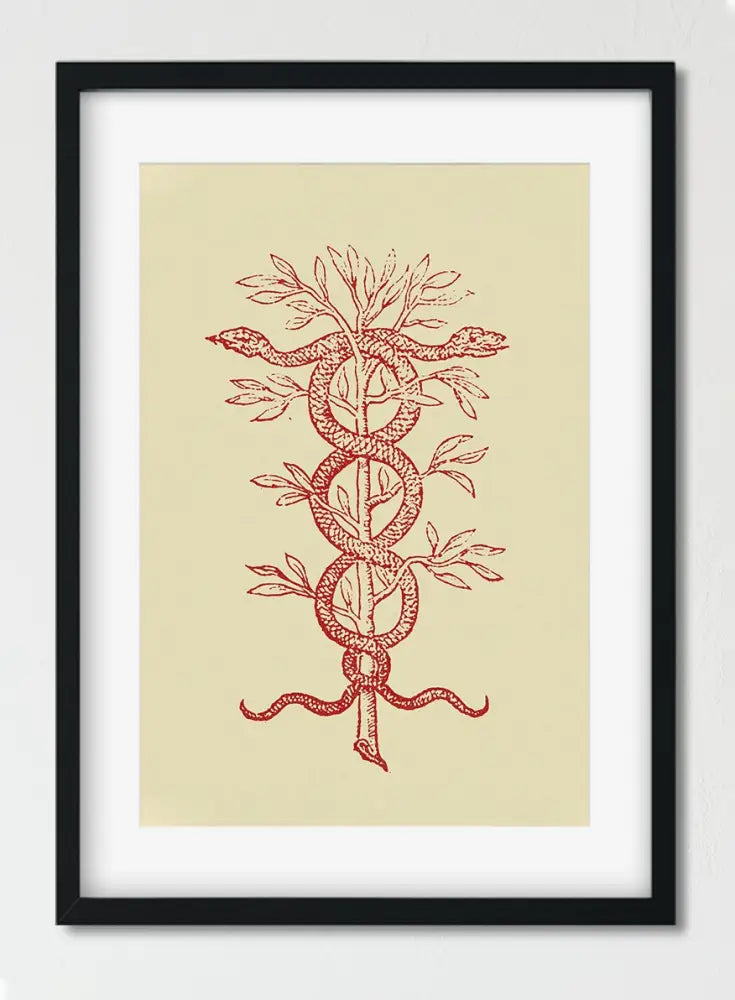 Four Minimalist French Emblems Caduceus Porcupine And Crown By Claude Paradin From Historic Devises Heroiques Edition by My Store