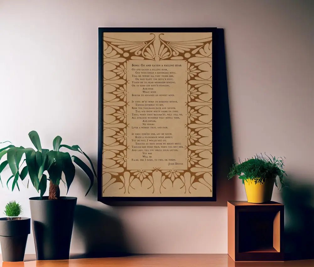 Go and Catch a Falling Star Poem Poster John Donne Print No Frame by My Store