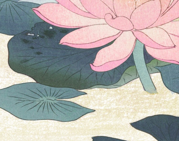Water Lily by Ohara Koson Vintage Illustration - Japanese Antique Print