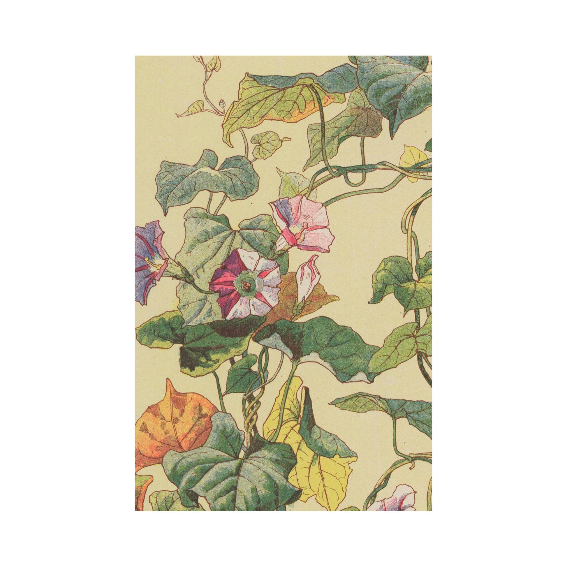 Vintage Floral Art - Paris - Ornate Nouveau Print - Bohemian Print Large Artwork - Beige - Ivy