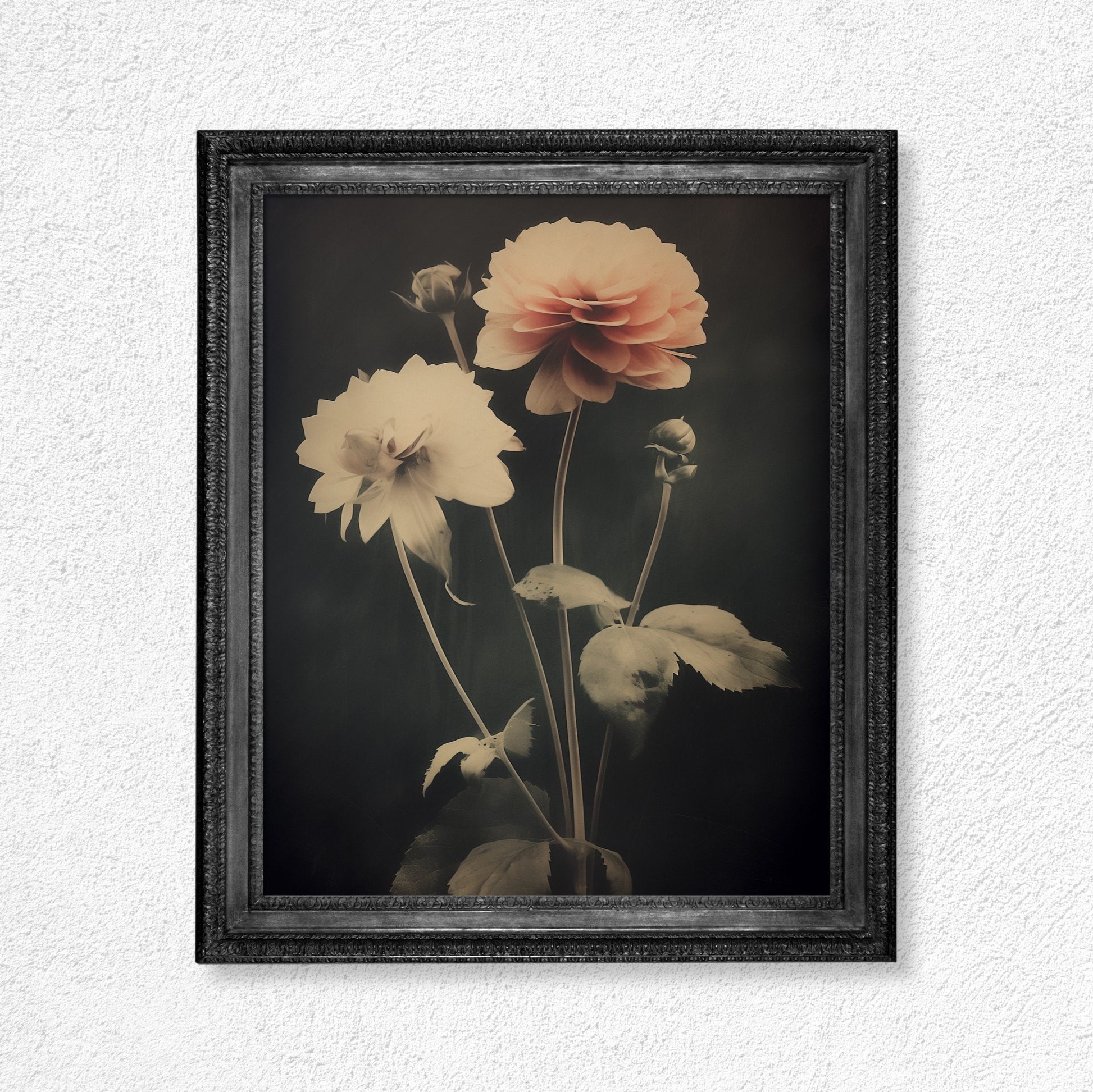 Vintage Roses - Moody Floral Print - Dark Academia - Whimsigoth - Anthotype Print - Beige and Black - Vintage