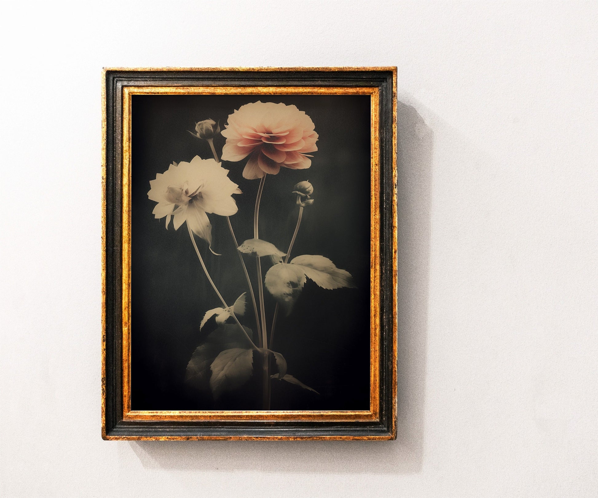 Vintage Roses - Moody Floral Print - Dark Academia - Whimsigoth - Anthotype Print - Beige and Black - Vintage