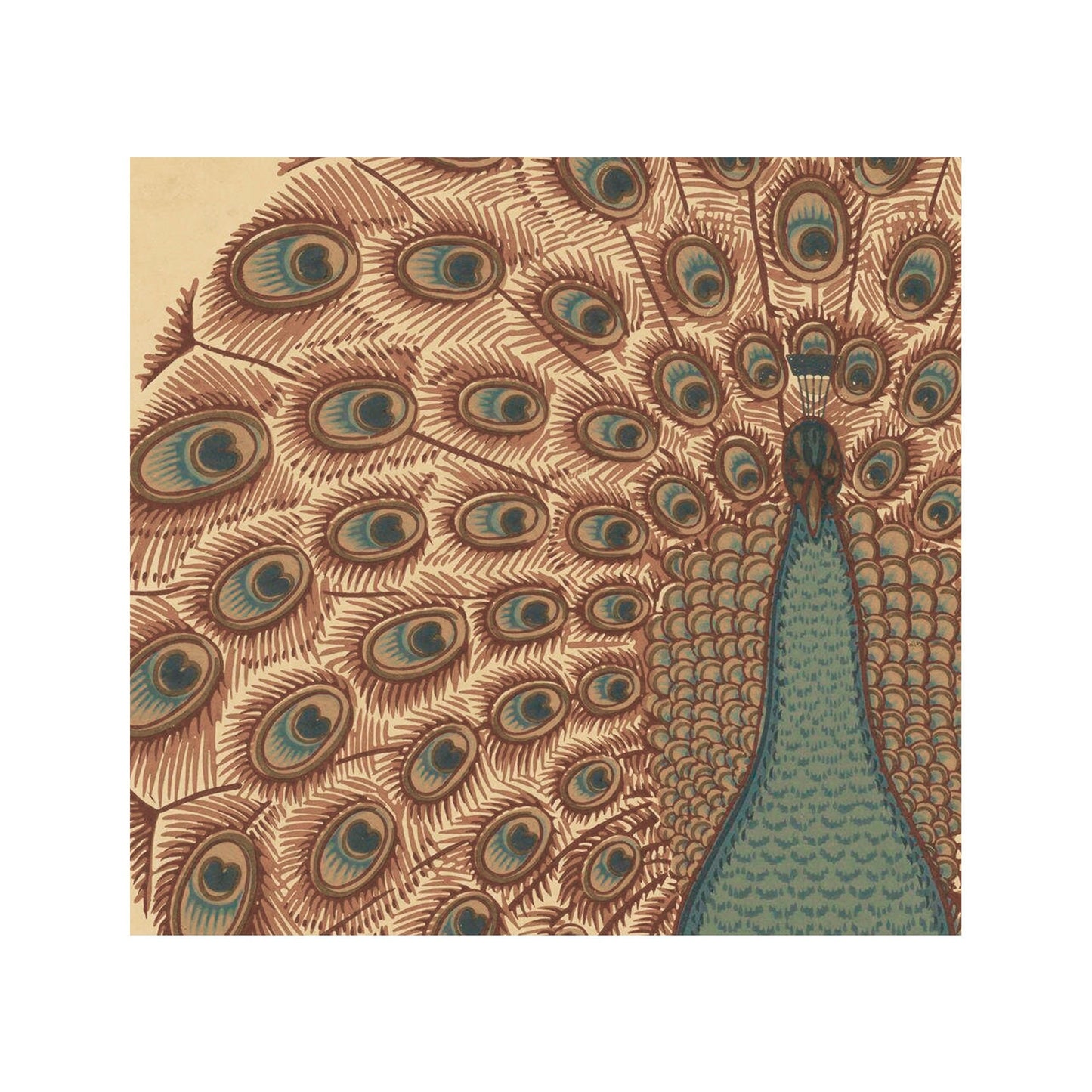Vintage Peacock Print - Art Nouveau art print, Vintage Brown wall art, painting - Bird Print - Blue and Beige