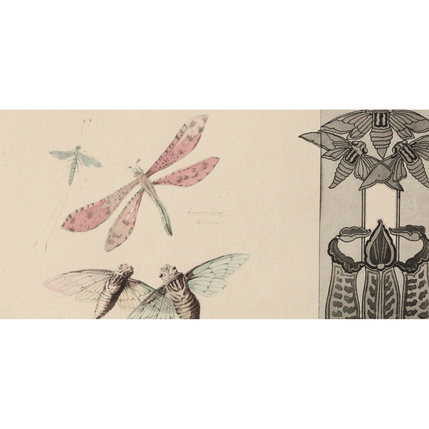 Vintage Dragonflies Print - Beige - Insect Poster - Vintage Design - Ornamental Print - Large Artwork