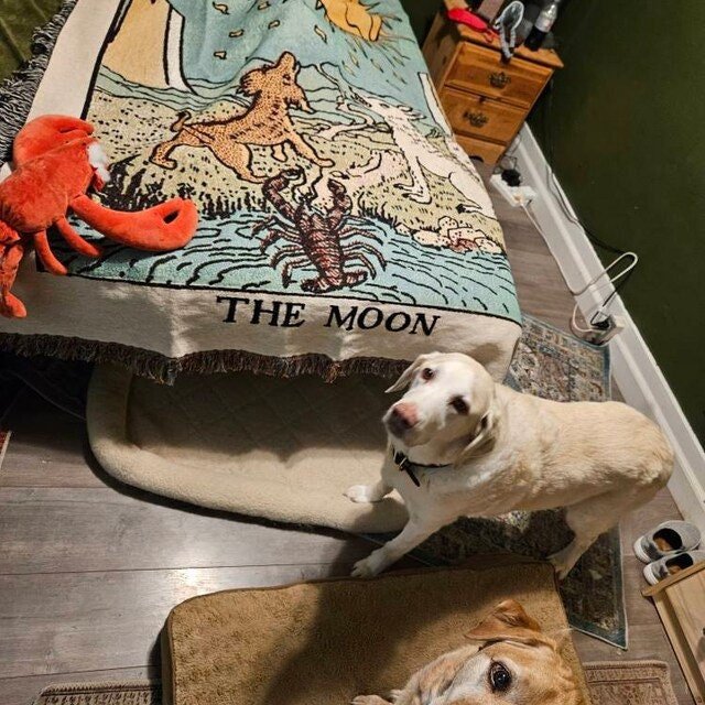 Woven Blanket - The Moon Tarot Card - Rider Waite Deck - Cotton Throw