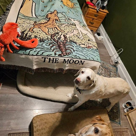 Woven Blanket - The Moon Tarot Card - Rider Waite Deck - Cotton Throw