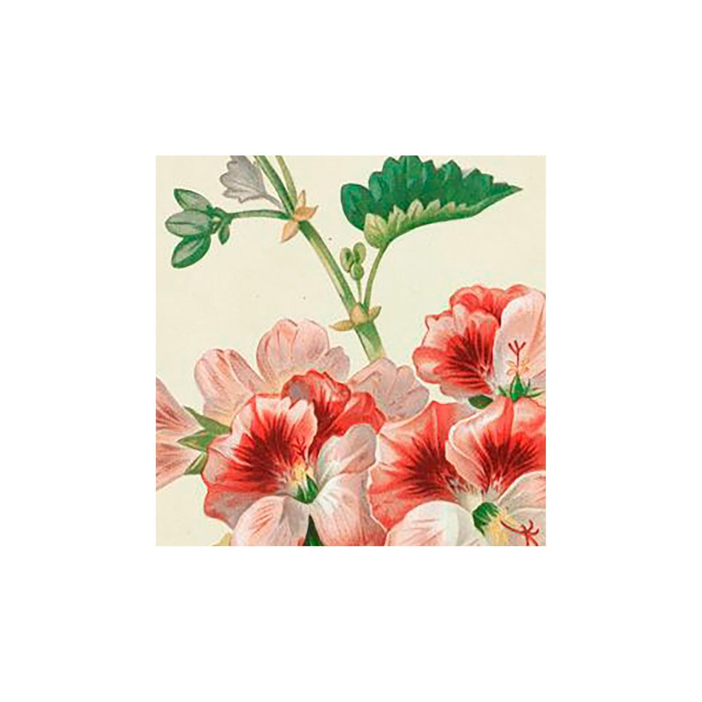 Art Nouveau Geraniums Painting - Vintage Wall Art - Pink and Green
