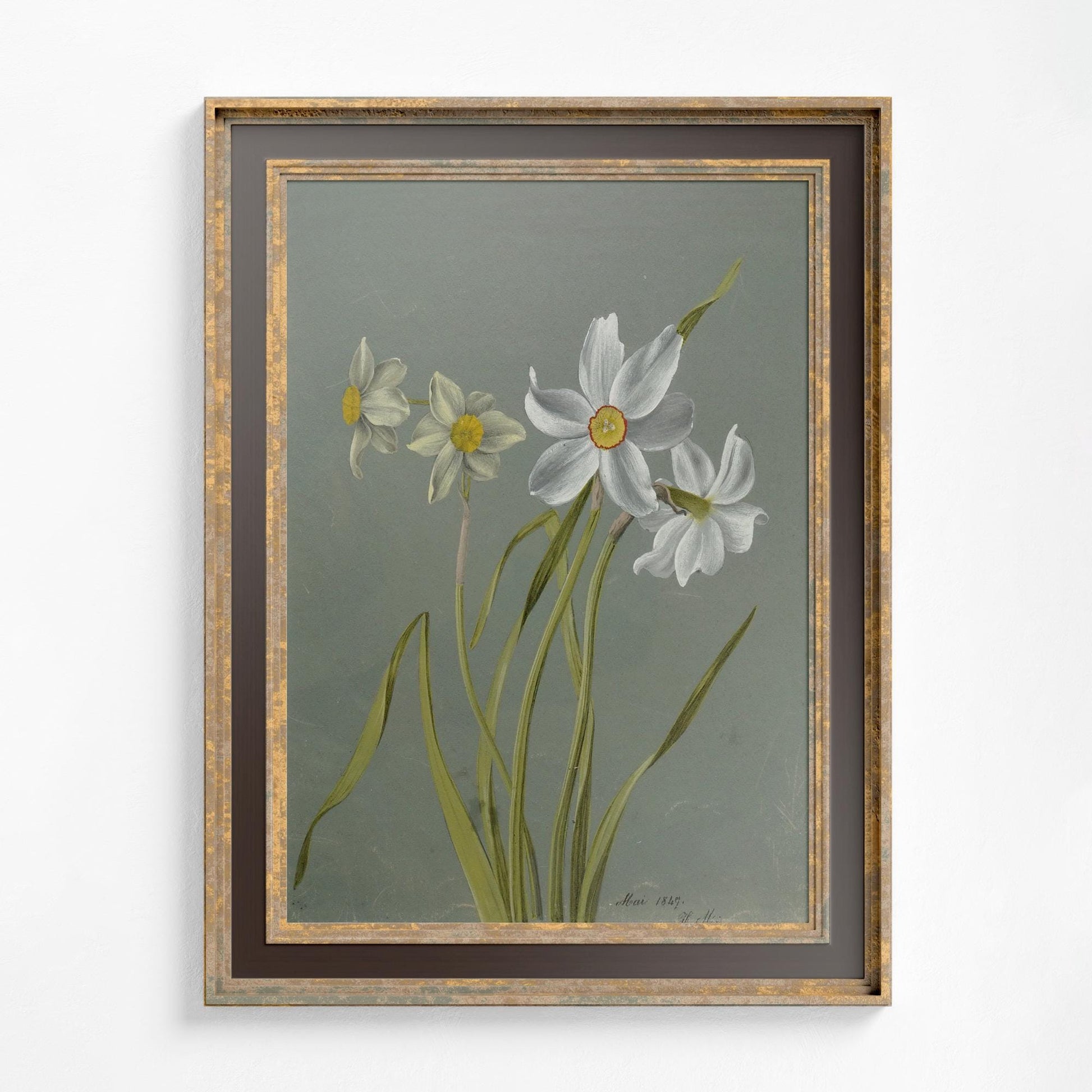 Vintage White Floral Print: Gray and White Botanical Art -Painting - 1847