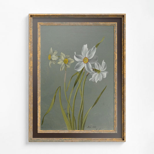 Vintage White Floral Botanical Art Print On Premium Matte Paper by DesignBohemian