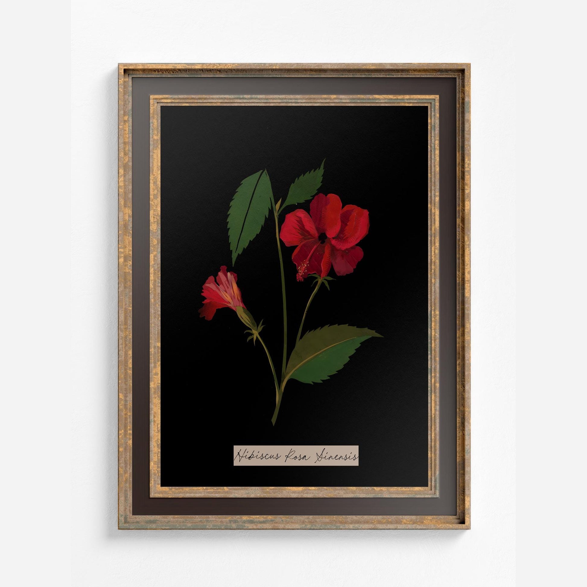 Vintage Red Roses Floral Print: Black and Red Botanical Art - Rose Painting by DesignBohemian