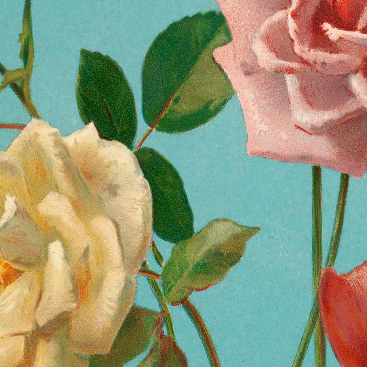 Tea Roses - Pink and Blue - Bohemian Vintage - Print Large Artwork - Floral - Long Poster