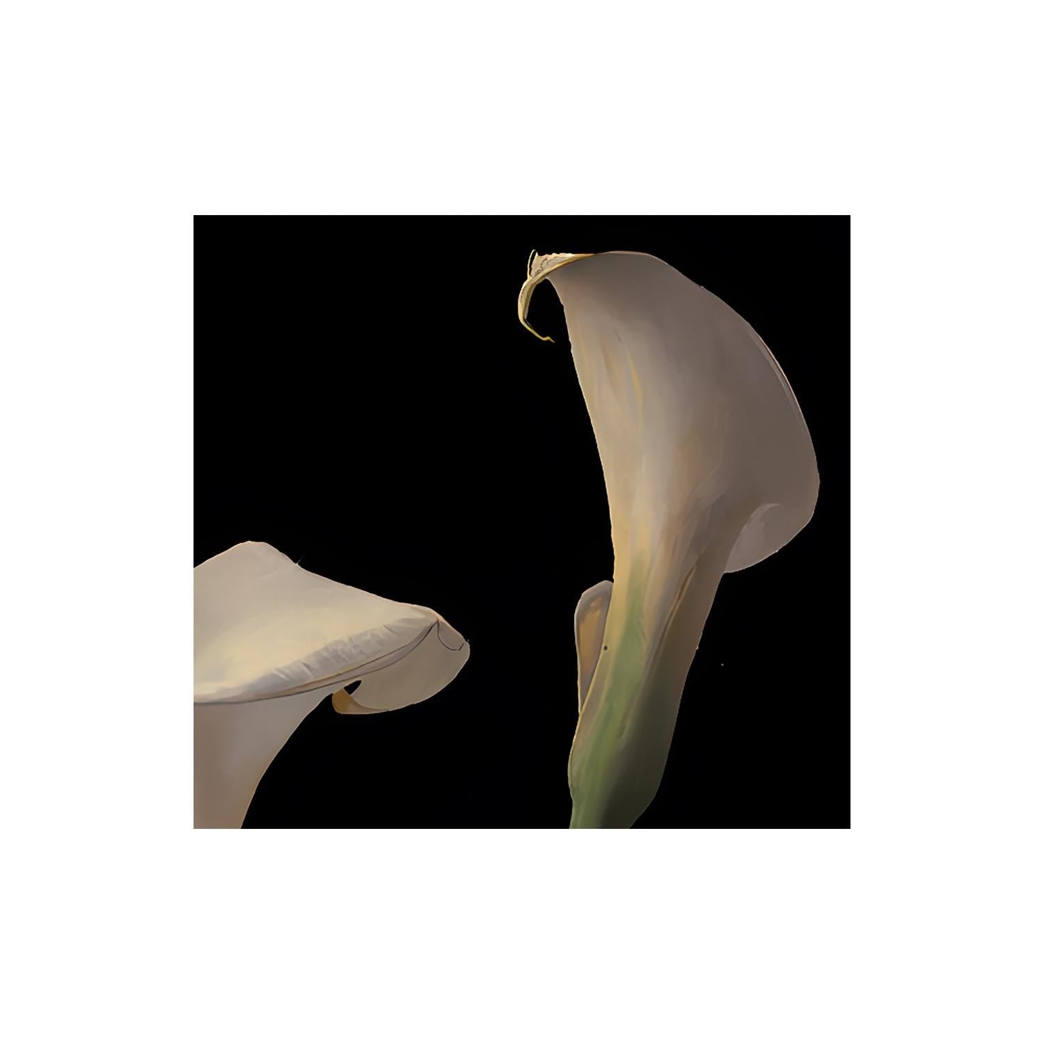 Art Nouveau Calla Lily Print: Moody Floral Vintage Poster, Archival Paper