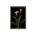 Art Nouveau Calla Lily Print: Moody Floral Vintage Poster, Archival Paper