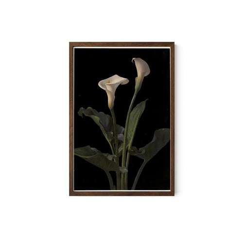 Art Nouveau Calla Lily Print: Moody Floral Vintage Poster, Archival Paper