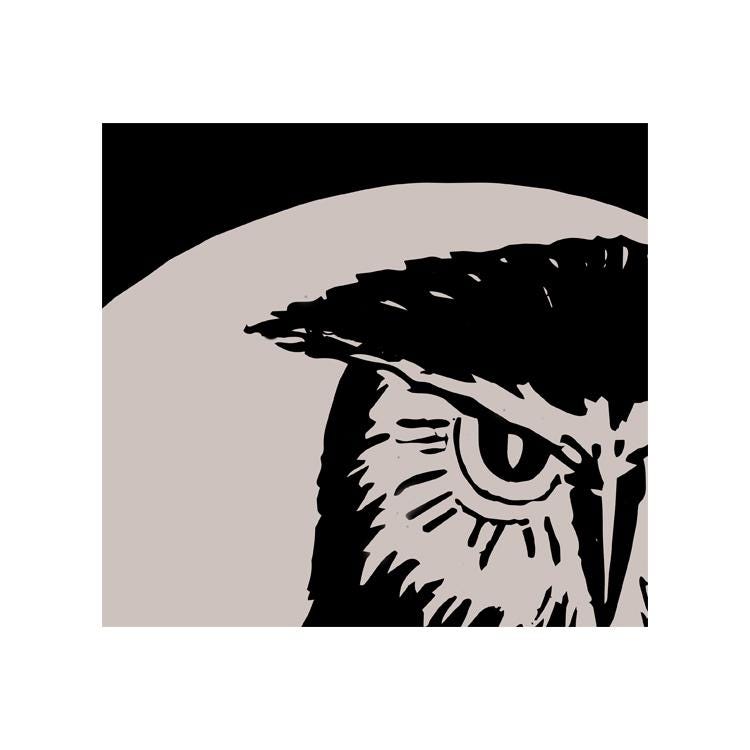 Vintage Owl Art Print - Nature Artwork - Black and Beige -