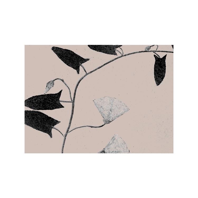 Botanical Specimen Art Print: Vintage Plant Study