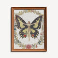 Life Magazine Flapper Print Collage Butterfly Lady Poster by My Store